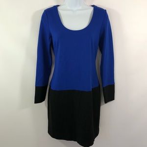 Banana Republic Colorblock Sheath Dress LS
